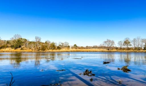 View From Creek Blind