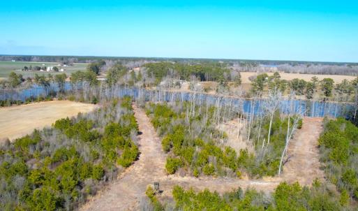 Access Trails and Hunting Lanes