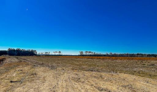 North Side Crop Land
