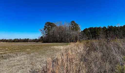 South Side Crop Land