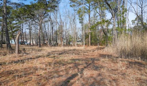 Photo #4 of Lot 14A HOWARD DRIVE, CHINCOTEAGUE, VA 14.0 acres