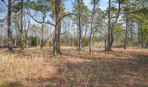 Photo #6 of Lot 14A HOWARD DRIVE, CHINCOTEAGUE, VA 14.0 acres