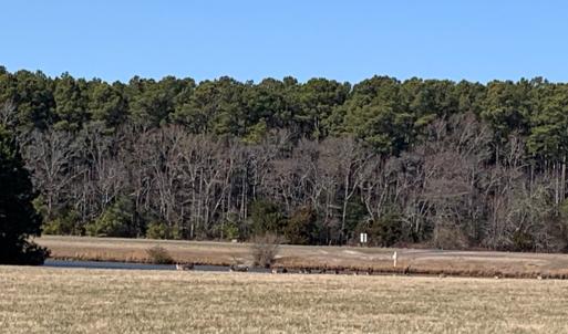 Photo #5 of SEAVIEW ST, ACCOMAC, VA 3.0 acres