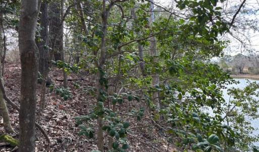Photo #9 of 1 CHURCH NECK RD, MACHIPONGO, VA 1.2 acres