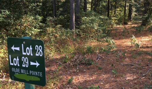 Photo #2 of Lot 29 OLDE MILL LANE, NEW CHURCH, VA 44.0 acres