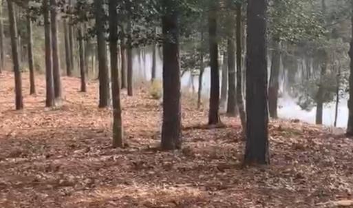 Photo #4 of Lot 29 OLDE MILL LANE, NEW CHURCH, VA 44.0 acres