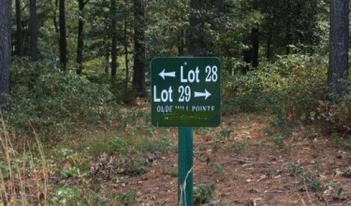 Photo #5 of Lot 29 OLDE MILL LANE, NEW CHURCH, VA 44.0 acres