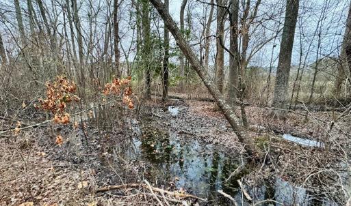 Photo #10 of SERENITY LN, ONANCOCK, VA 2.7 acres