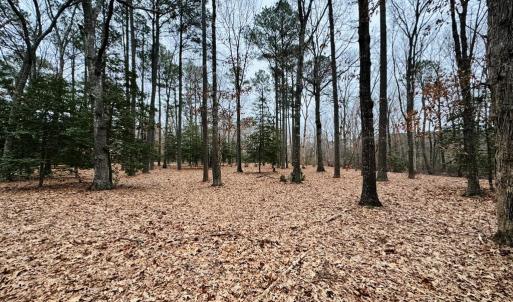 Photo #13 of SERENITY LN, ONANCOCK, VA 2.7 acres