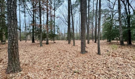 Photo #14 of SERENITY LN, ONANCOCK, VA 2.7 acres