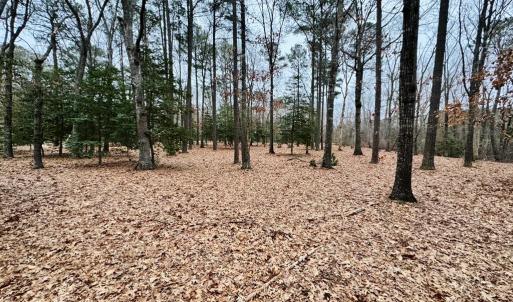 Photo #15 of SERENITY LN, ONANCOCK, VA 2.7 acres