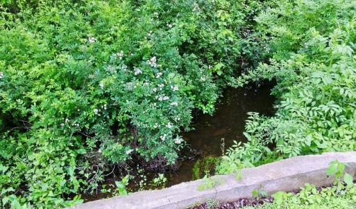 Photo #3 of SERENITY LN, ONANCOCK, VA 2.7 acres