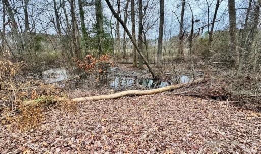 Photo #8 of SERENITY LN, ONANCOCK, VA 2.7 acres