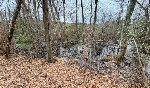 Photo #9 of SERENITY LN, ONANCOCK, VA 2.7 acres
