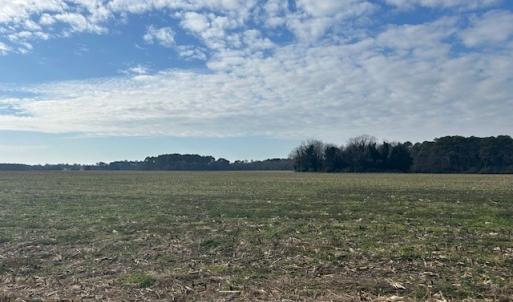 Photo #12 of Lot C LANKFORD HWY, CAPE CHARLES, VA 9.6 acres