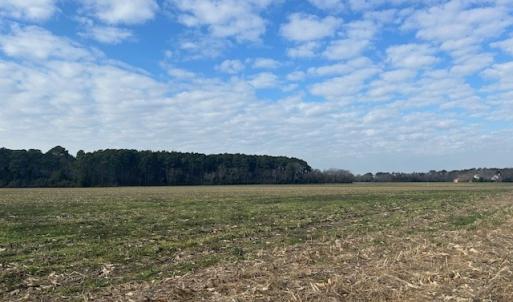 Photo #13 of Lot C LANKFORD HWY, CAPE CHARLES, VA 9.6 acres