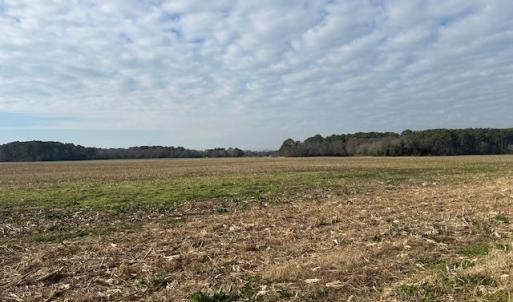 Photo #13 of Lot D LANKFORD HWY, CAPE CHARLES, VA 7.5 acres