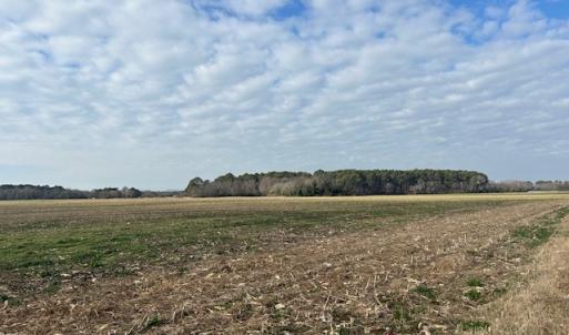 Photo #9 of Lot D LANKFORD HWY, CAPE CHARLES, VA 7.5 acres