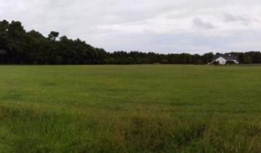 Photo #2 of Lot 14 PINE DR, PARKSLEY, VA 2.8 acres