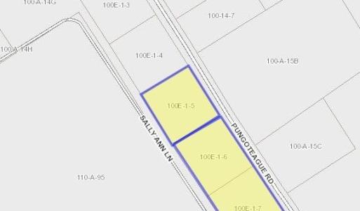 Photo #3 of 1.46 Ac PUNGOTEAGUE RD, PAINTER, VA 1.5 acres