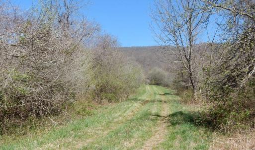 Photo #4 of tbd SAM SNEAD HWY, WARM SPRINGS, VA 32.0 acres