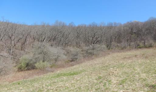 Photo #8 of tbd SAM SNEAD HWY, WARM SPRINGS, VA 32.0 acres