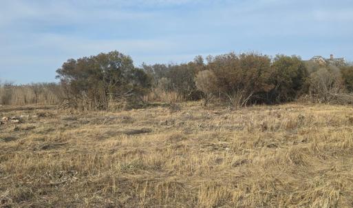 Photo #5 of DENNIS DR, SAXIS, VA 3.6 acres