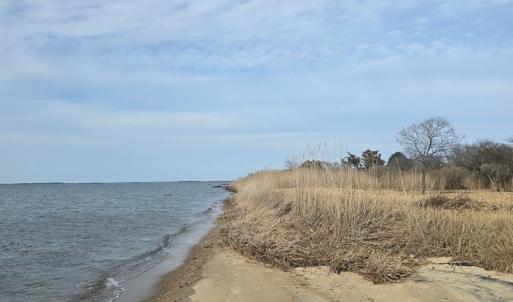 Photo #8 of DENNIS DR, SAXIS, VA 3.6 acres