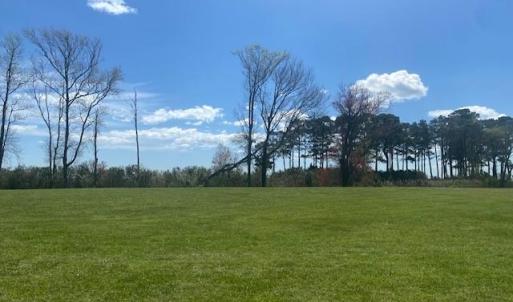Photo #4 of Lot 63 LEWIS LANE, PARKSLEY, VA 1.1 acres
