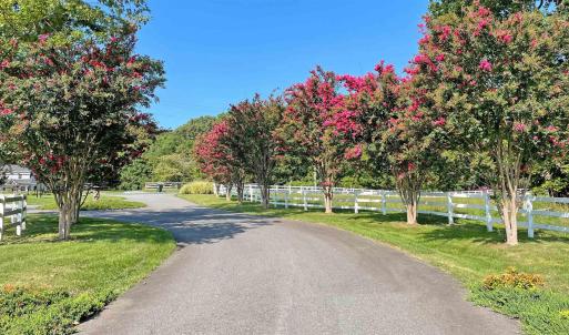 Photo #4 of Lot 3 VILLA DESTE CT, CHARLOTTESVILLE, VA 5.0 acres