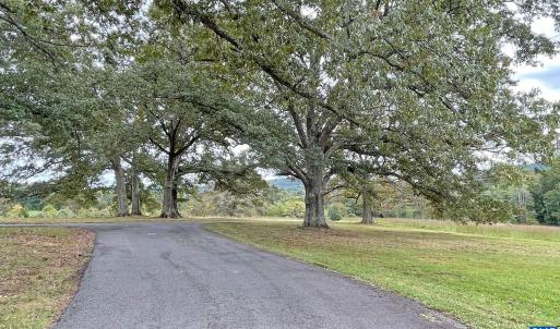 Photo #10 of Lot 3 VILLA DESTE CT, CHARLOTTESVILLE, VA 5.0 acres