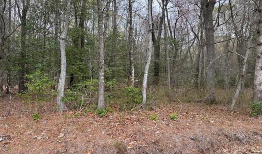 Photo #24 of Lot 34 PITTS CREEK RD, NEW CHURCH, VA 8.2 acres