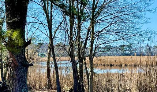 Photo #7 of Lot 34 PITTS CREEK RD, NEW CHURCH, VA 8.2 acres