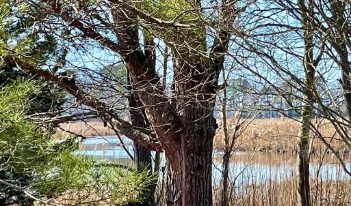 Photo #10 of Lot 34 PITTS CREEK RD, NEW CHURCH, VA 8.2 acres