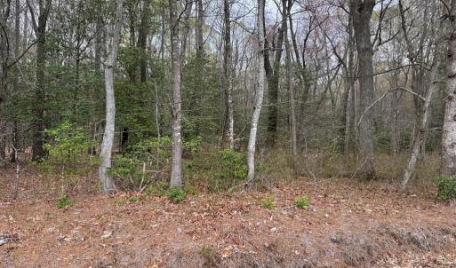 Photo #24 of Lot 34 PITTS CREEK RD, NEW CHURCH, VA 8.2 acres