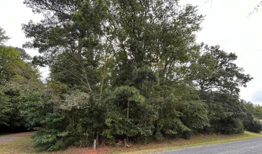 Photo #11 of Lot 128 OCTOPUS, GREENBACKVILLE, VA 0.3 acres
