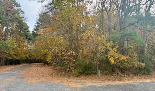 Photo #2 of Lot 128 OCTOPUS, GREENBACKVILLE, VA 0.3 acres