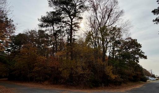 Photo #3 of Lot 128 OCTOPUS, GREENBACKVILLE, VA 0.3 acres
