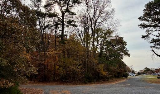 Photo #4 of Lot 128 OCTOPUS, GREENBACKVILLE, VA 0.3 acres