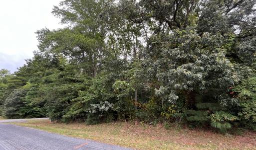 Photo #7 of Lot 128 OCTOPUS, GREENBACKVILLE, VA 0.3 acres