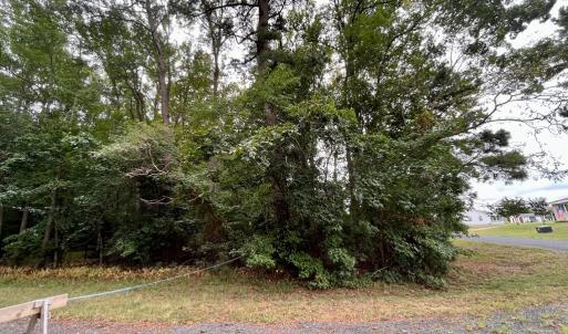 Photo #8 of Lot 128 OCTOPUS, GREENBACKVILLE, VA 0.3 acres