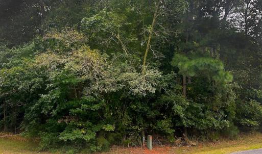 Photo #9 of Lot 128 OCTOPUS, GREENBACKVILLE, VA 0.3 acres