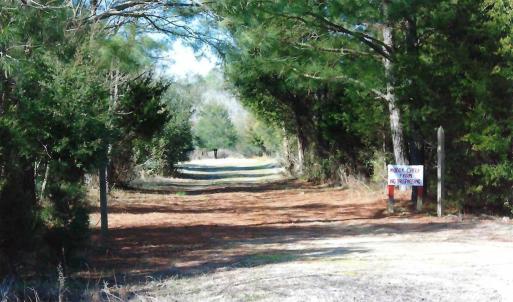 Photo #2 of Parcel B MUDDY CREEK RD, BLOXOM, VA 184.0 acres