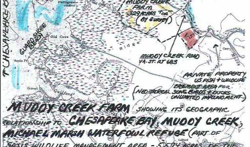 Photo #3 of Parcel B MUDDY CREEK RD, BLOXOM, VA 184.0 acres
