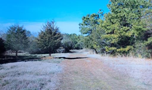 Photo #10 of Parcel B MUDDY CREEK RD, BLOXOM, VA 184.0 acres