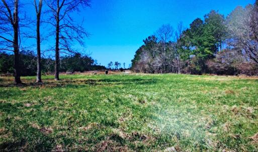 Photo #12 of Parcel B MUDDY CREEK RD, BLOXOM, VA 184.0 acres