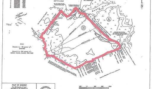 Photo #2 of Parcel B MUDDY CREEK RD, BLOXOM, VA 184.0 acres