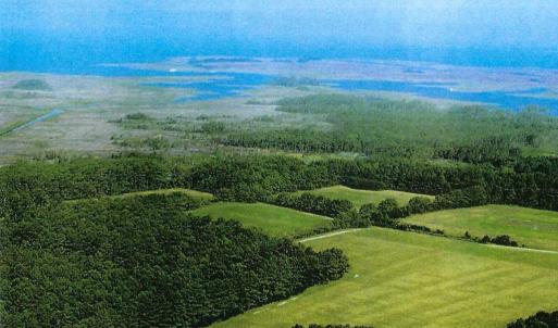 Photo #4 of Parcel B MUDDY CREEK RD, BLOXOM, VA 184.0 acres