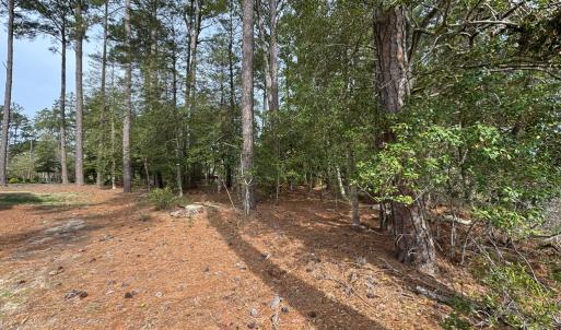 Photo #10 of Lot 3 OCEANVIEW COURT, ACCOMAC, VA 3.3 acres