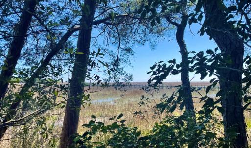 Photo #11 of Lot 3 OCEANVIEW COURT, ACCOMAC, VA 3.3 acres